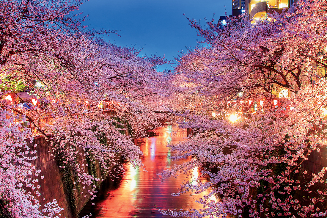 Цікаві факти про Японію: країна, де майбутнє зустрічається з традиціями